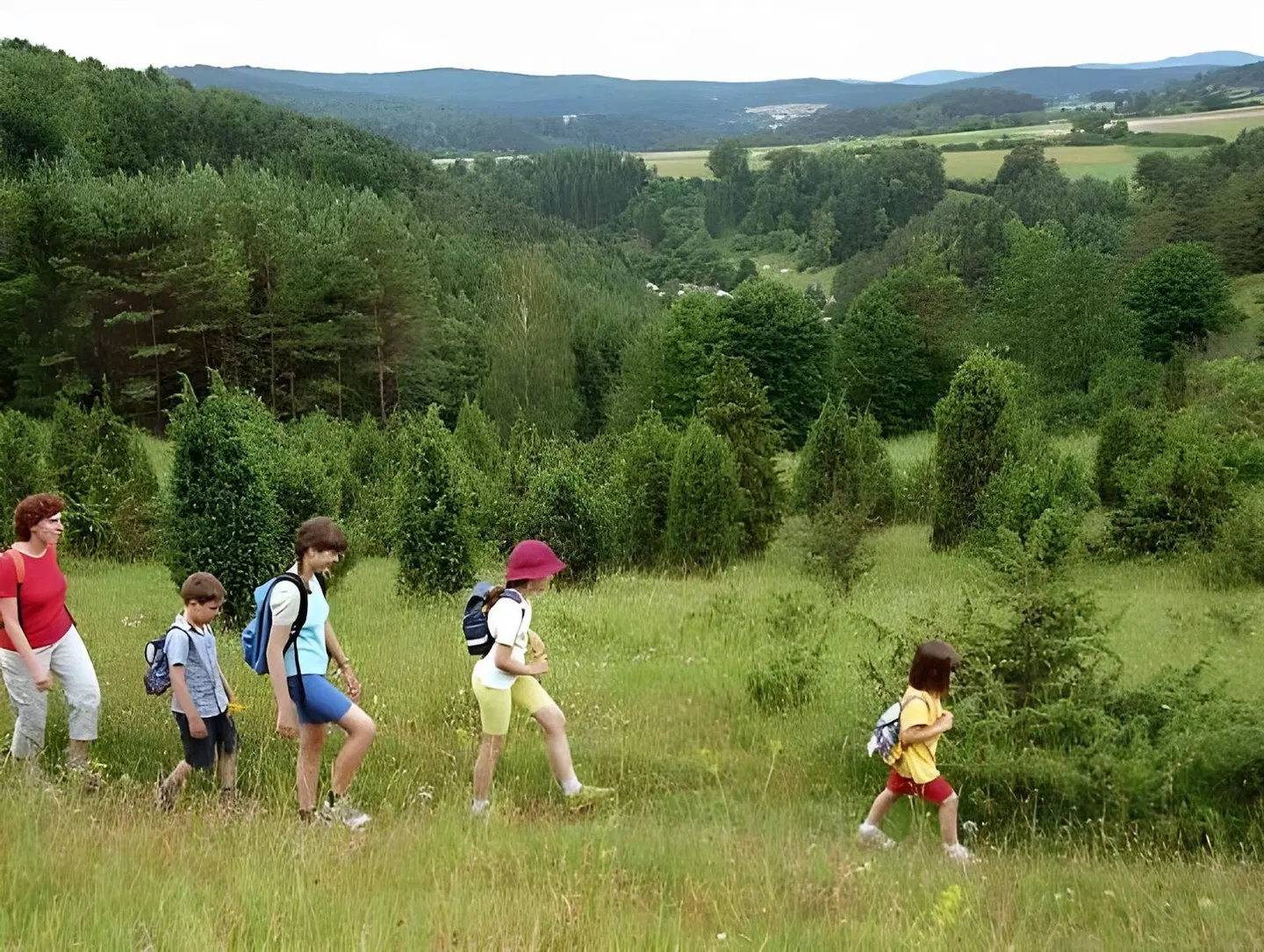 Forsthof SPORTS_AND_LEISURE