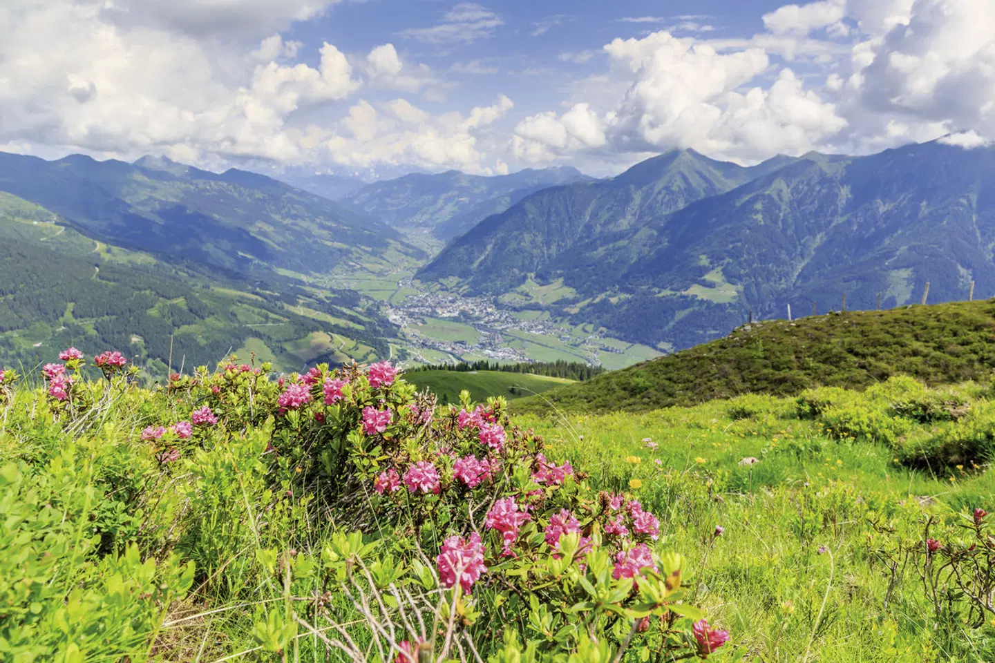 Hotel Völserhof LANDSCAPE