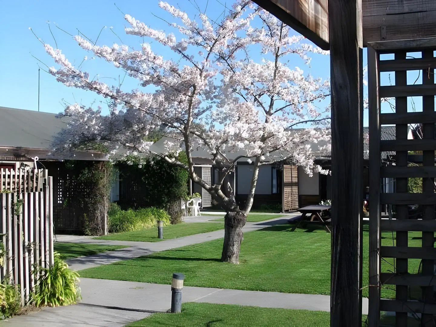 Christchurch Park Motel GARDEN