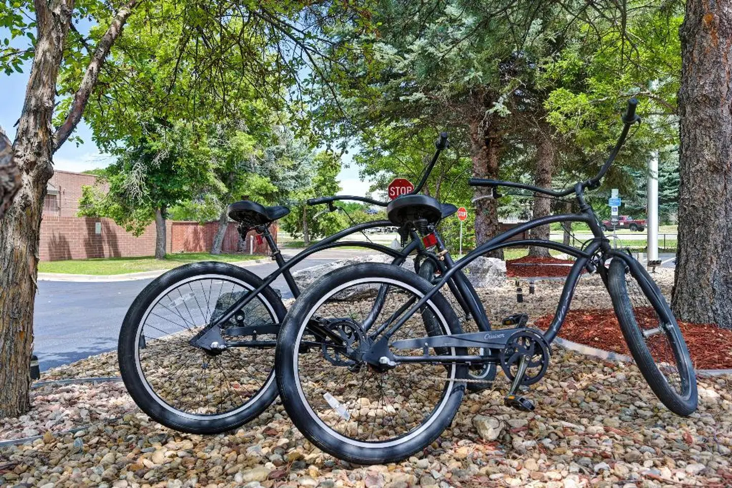 Homewood Suites by Hilton - Boulder SPORTS_AND_LEISURE