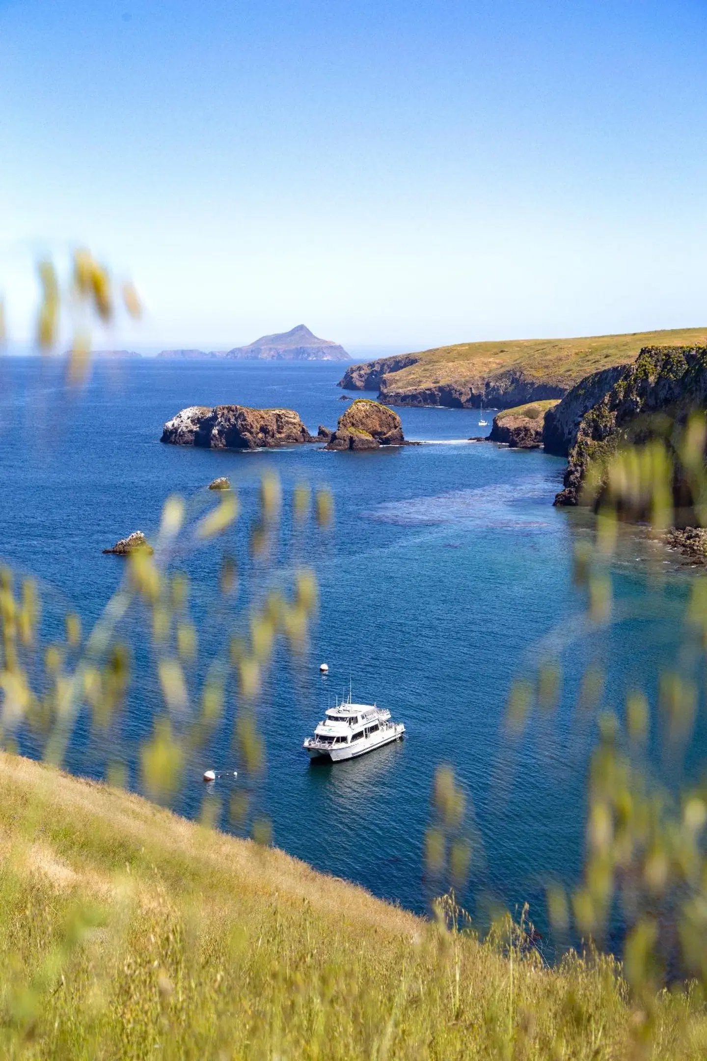 Crowne Plaza Hotel Ventura Beach by IHG LANDSCAPE