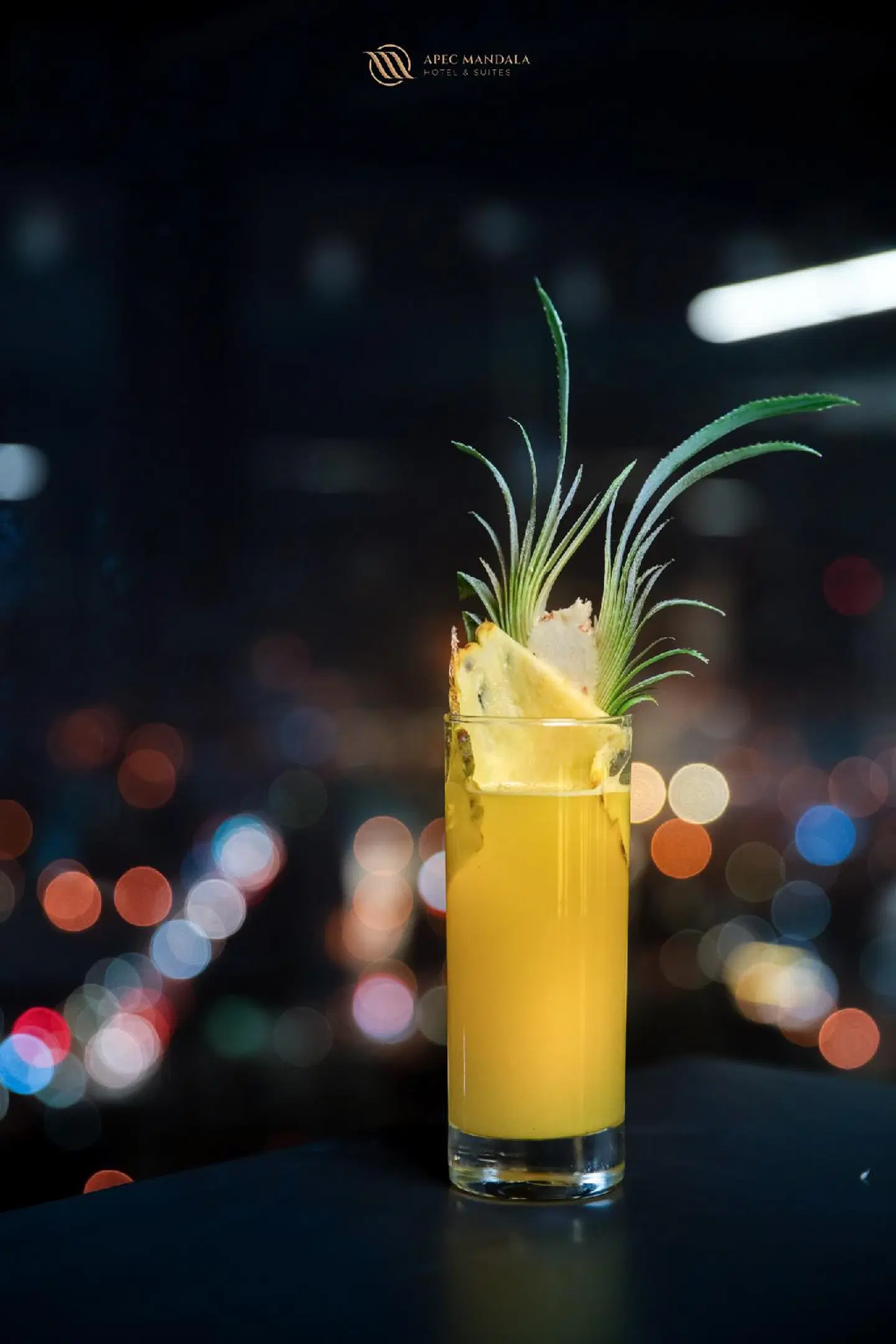 Mandala Hotel & Suites Bac Giang ANIMAL