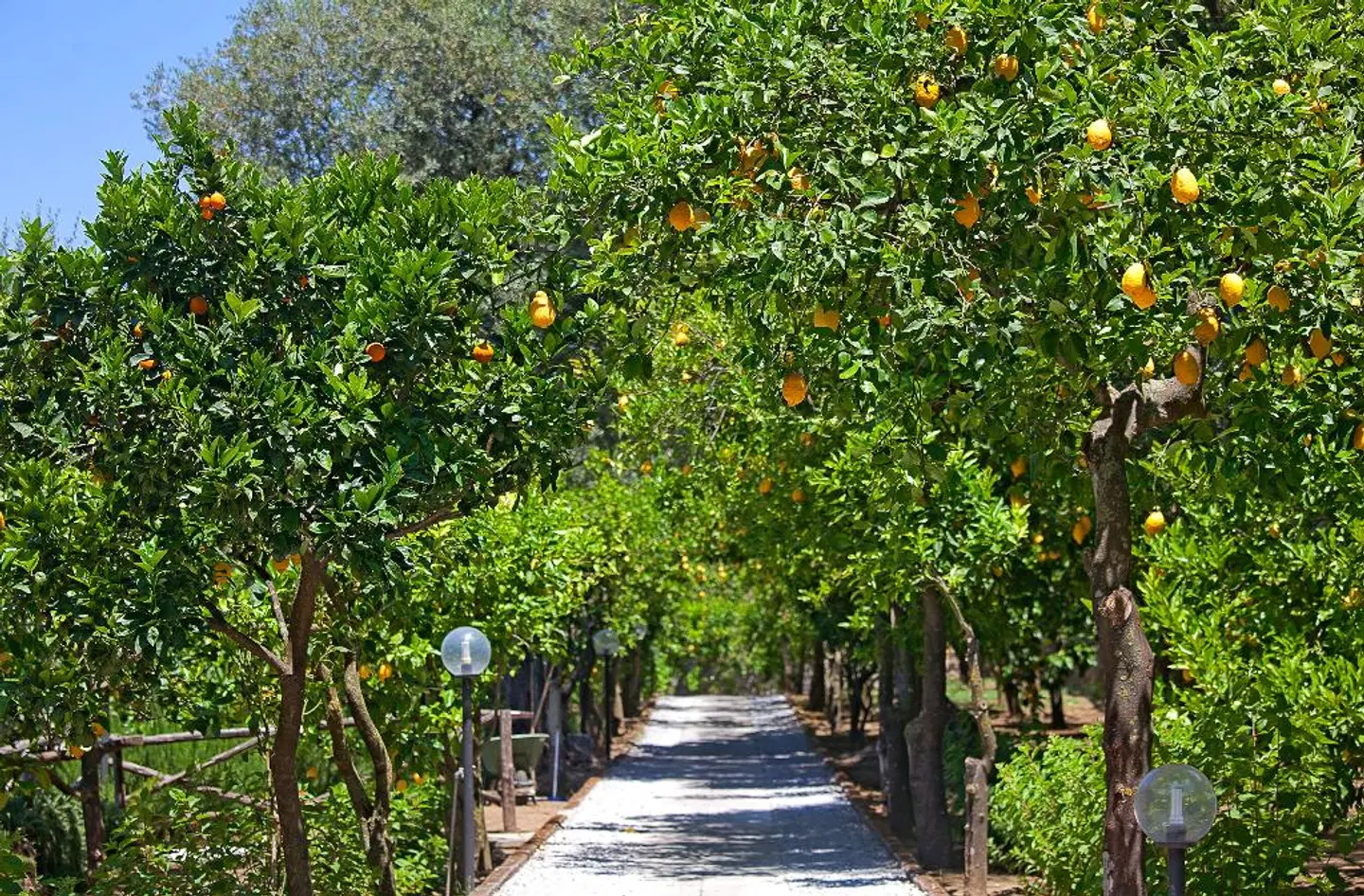Villa Oriana Relais GARDEN