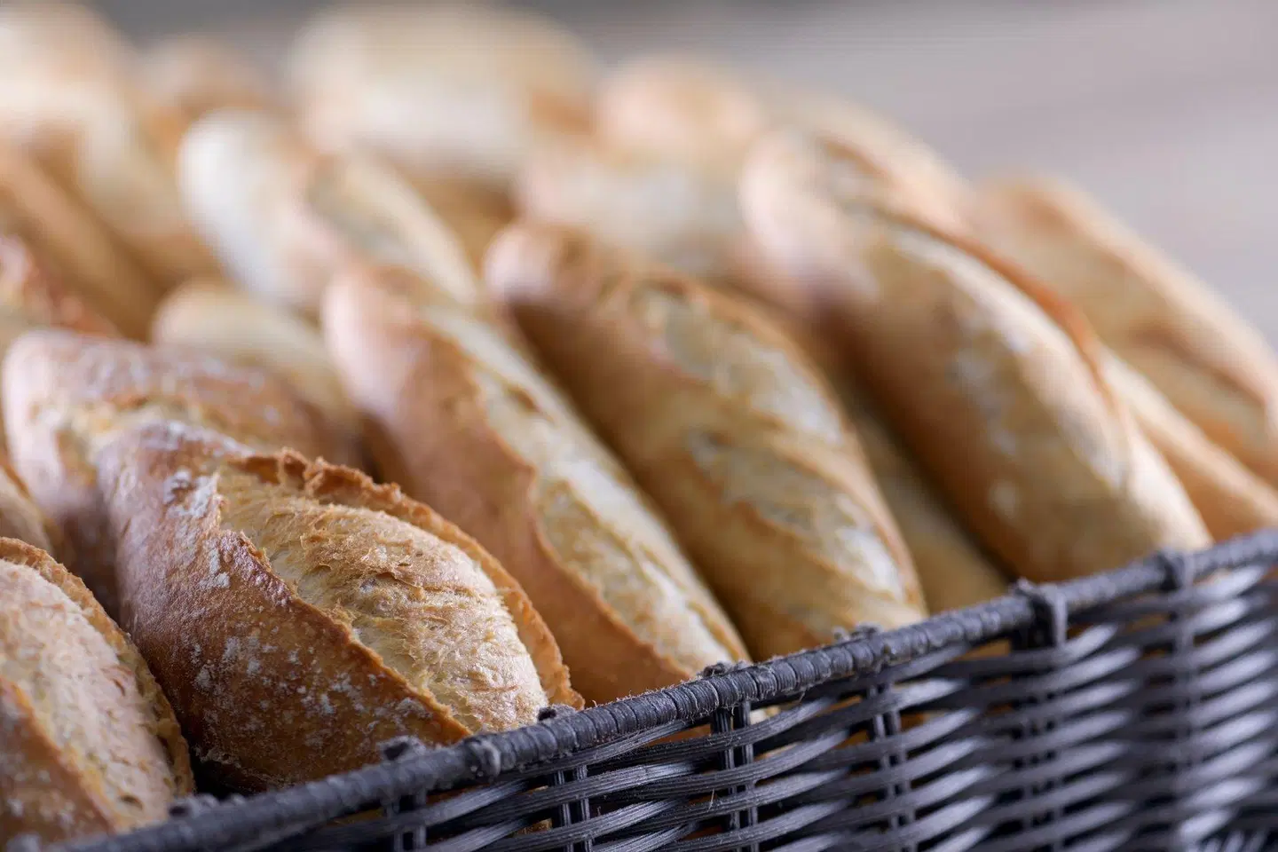 AC Hotel by Marriott Carlton Madrid Tiere