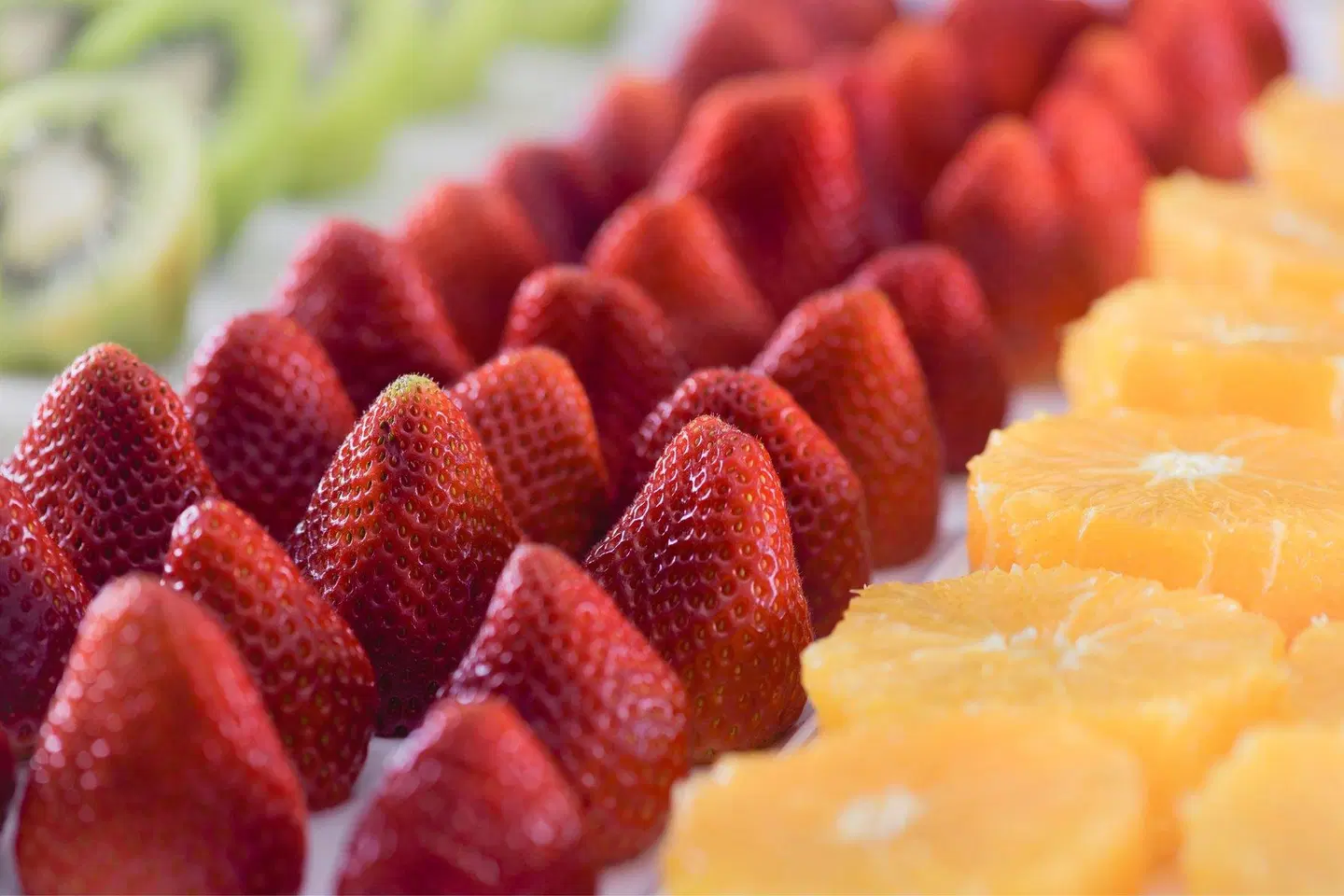 AC Hotel by Marriott Carlton Madrid Tiere