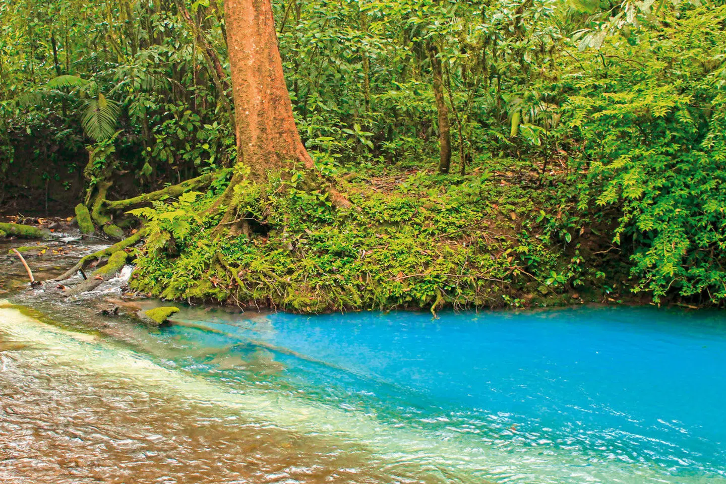 Highlights des Nordens (6 Nächte) LANDSCAPE