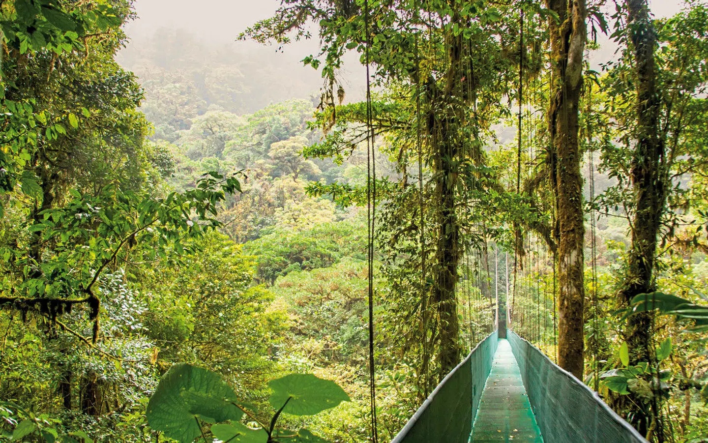 Highlights des Nordens (6 Nächte) LANDSCAPE