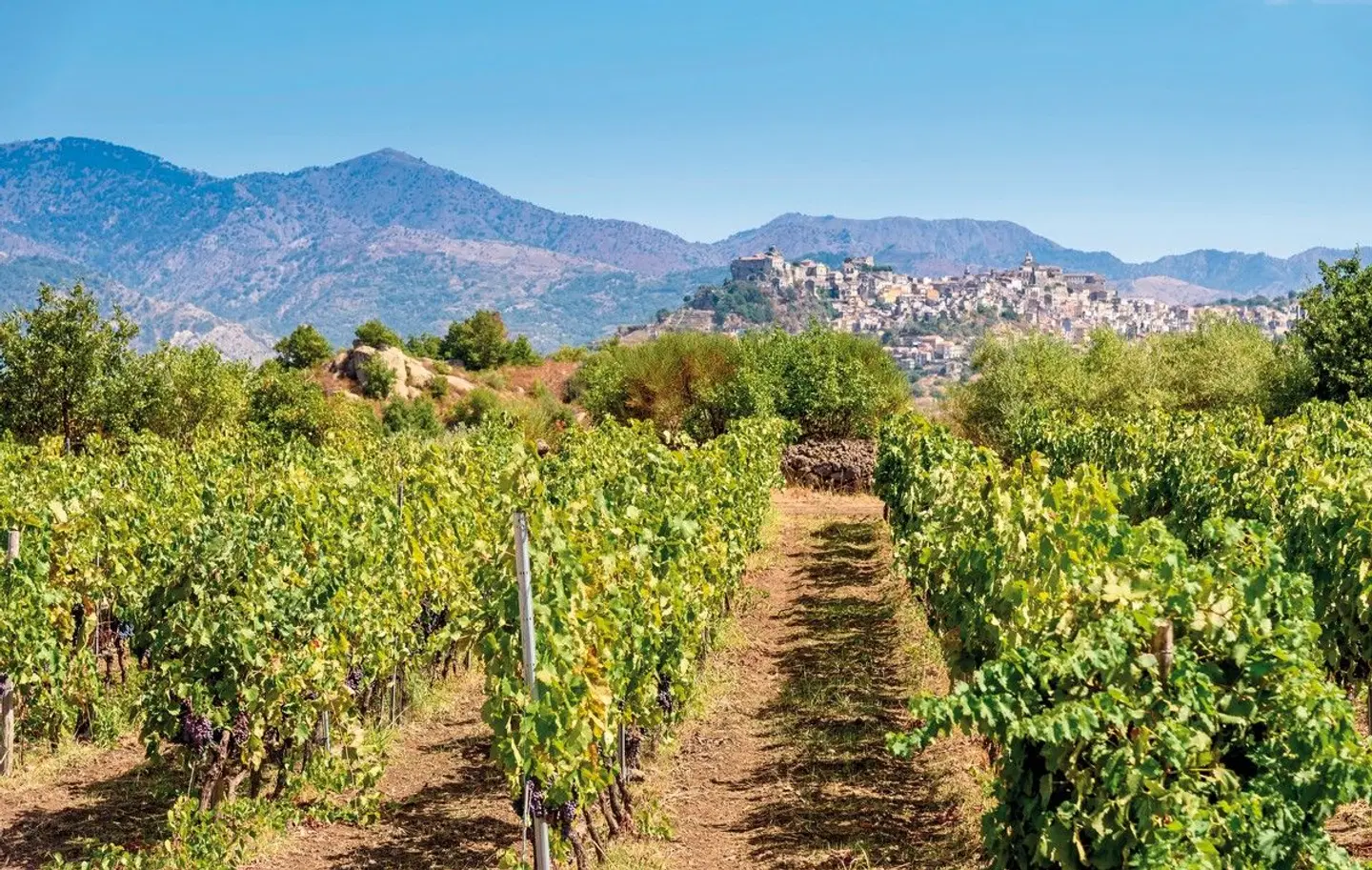 Autotour Kulinarisches Sizilien mit Wein und Köstlichkeiten - luxuriös erfahren LANDSCAPE