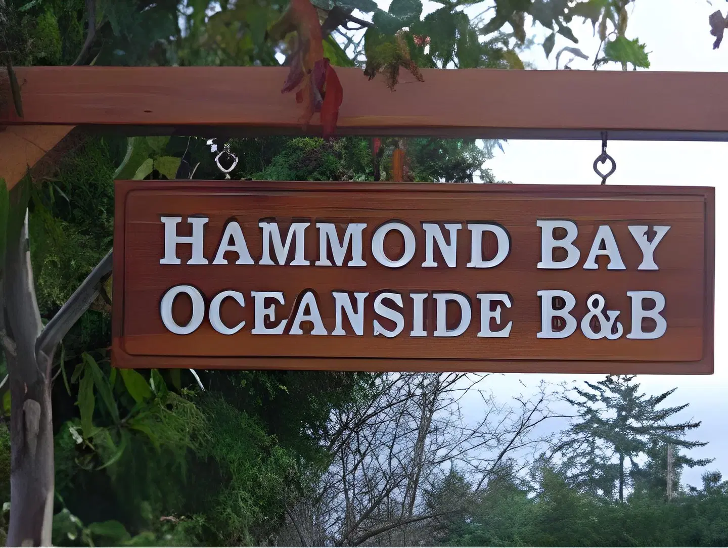Hammond Bay Oceanside B&B EXTERIOR