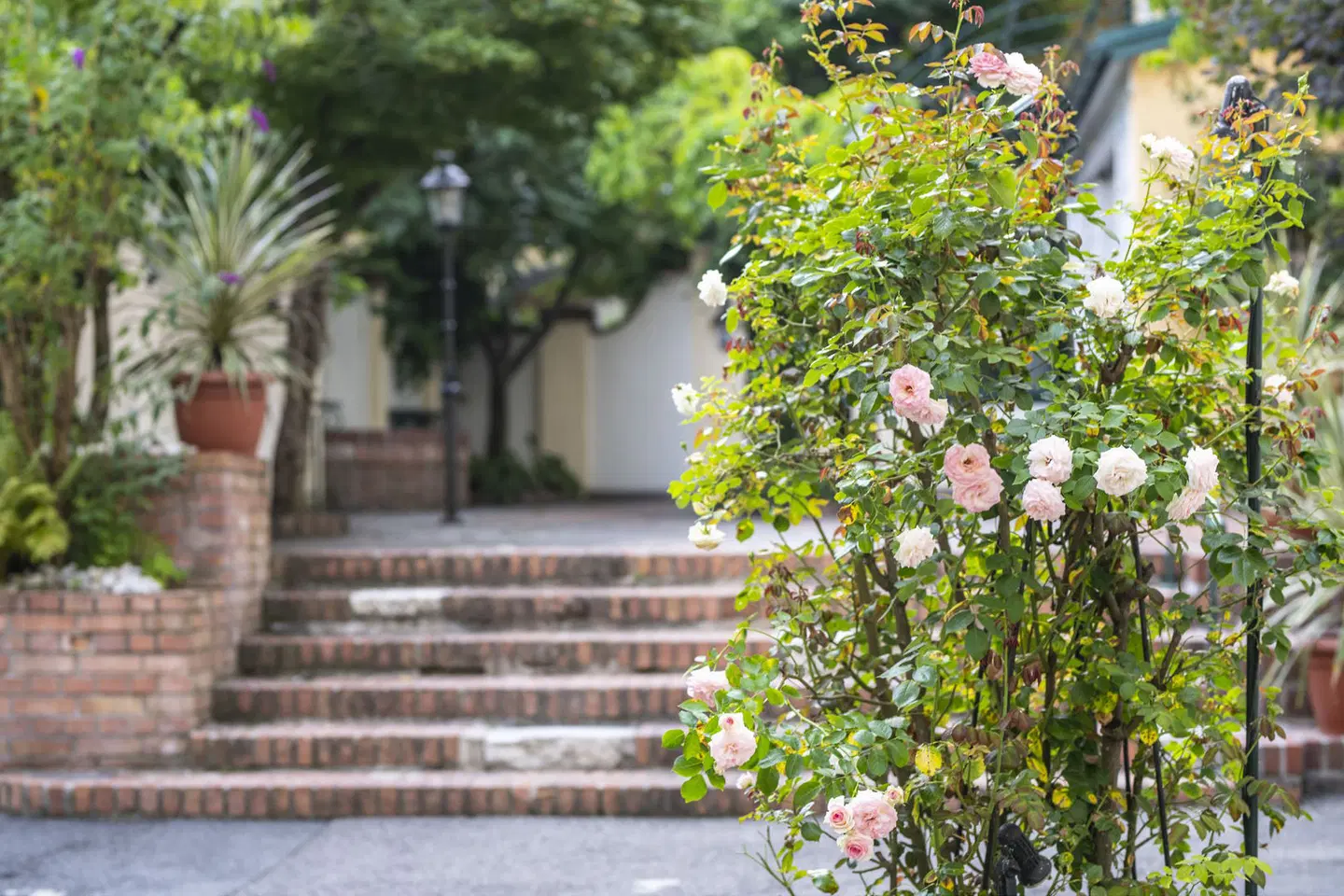 Hotel Palais26 GARDEN