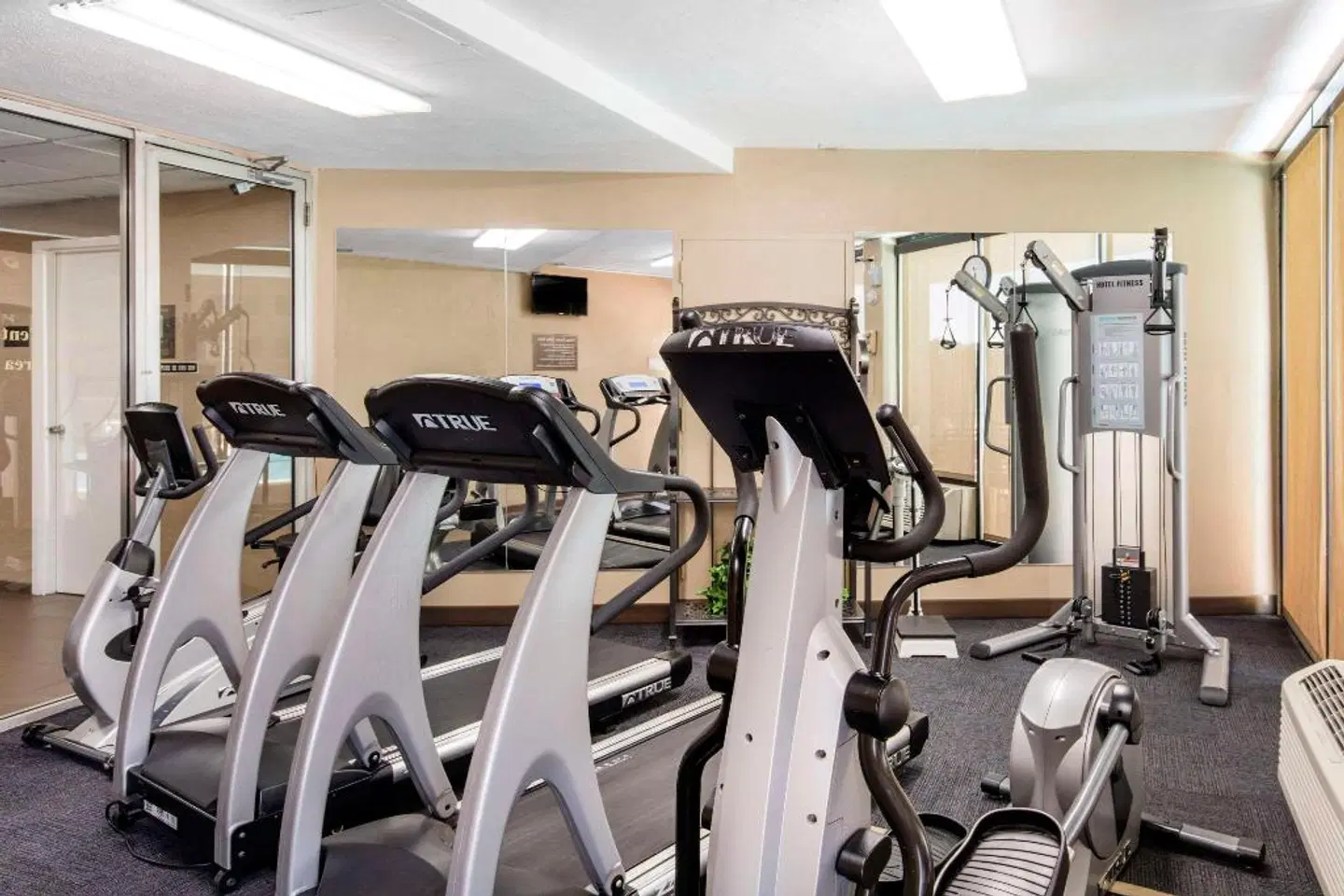 Comfort Inn Downtown Memphis SPORTS_AND_LEISURE