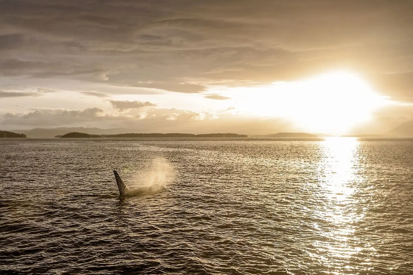 Explore the West Coast LANDSCAPE