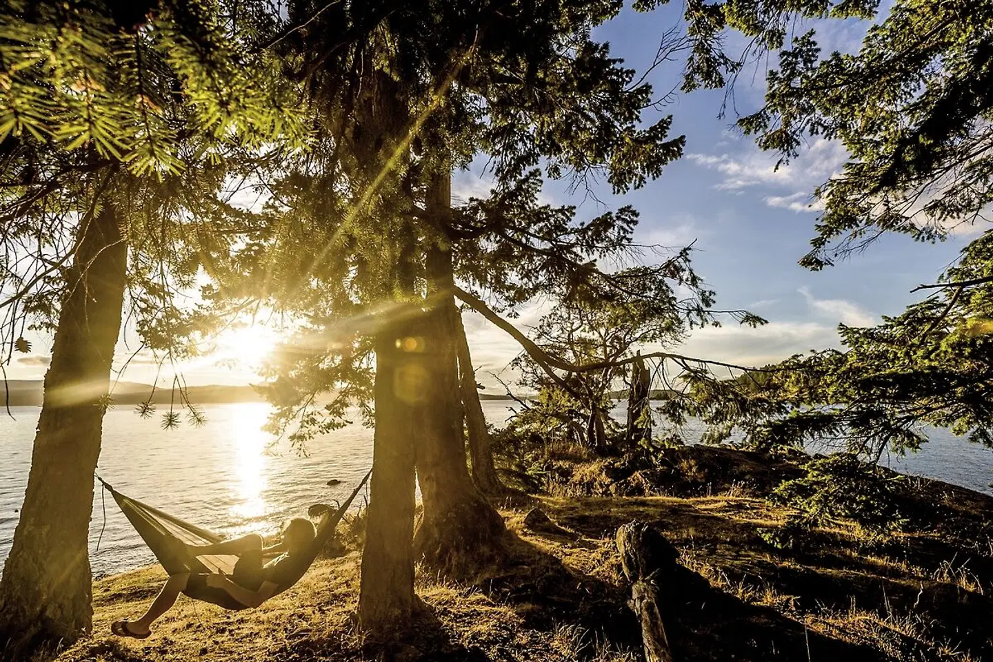 Explore the West Coast LANDSCAPE