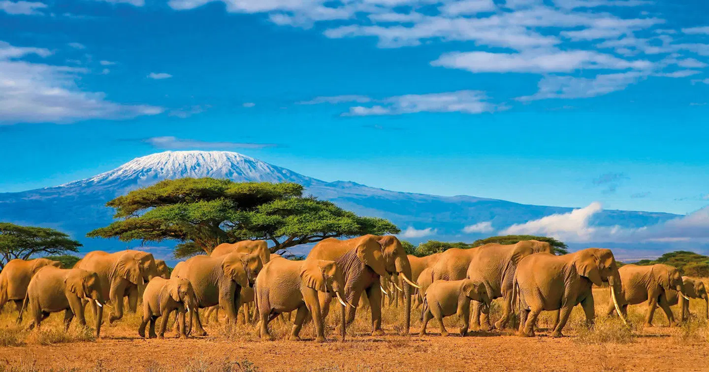 Tansania & Kenia Rundreise und Baden Tiere