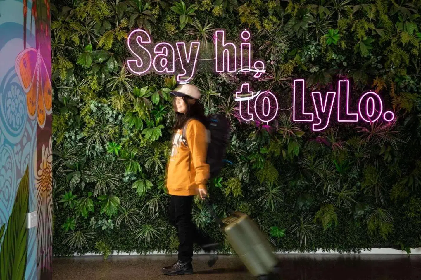 Jucy Snooze Christchurch Tiere