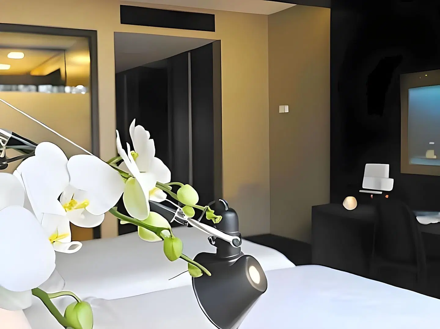 Evidencia Belverde Atitude Hotel HEALTH_BEAUTY