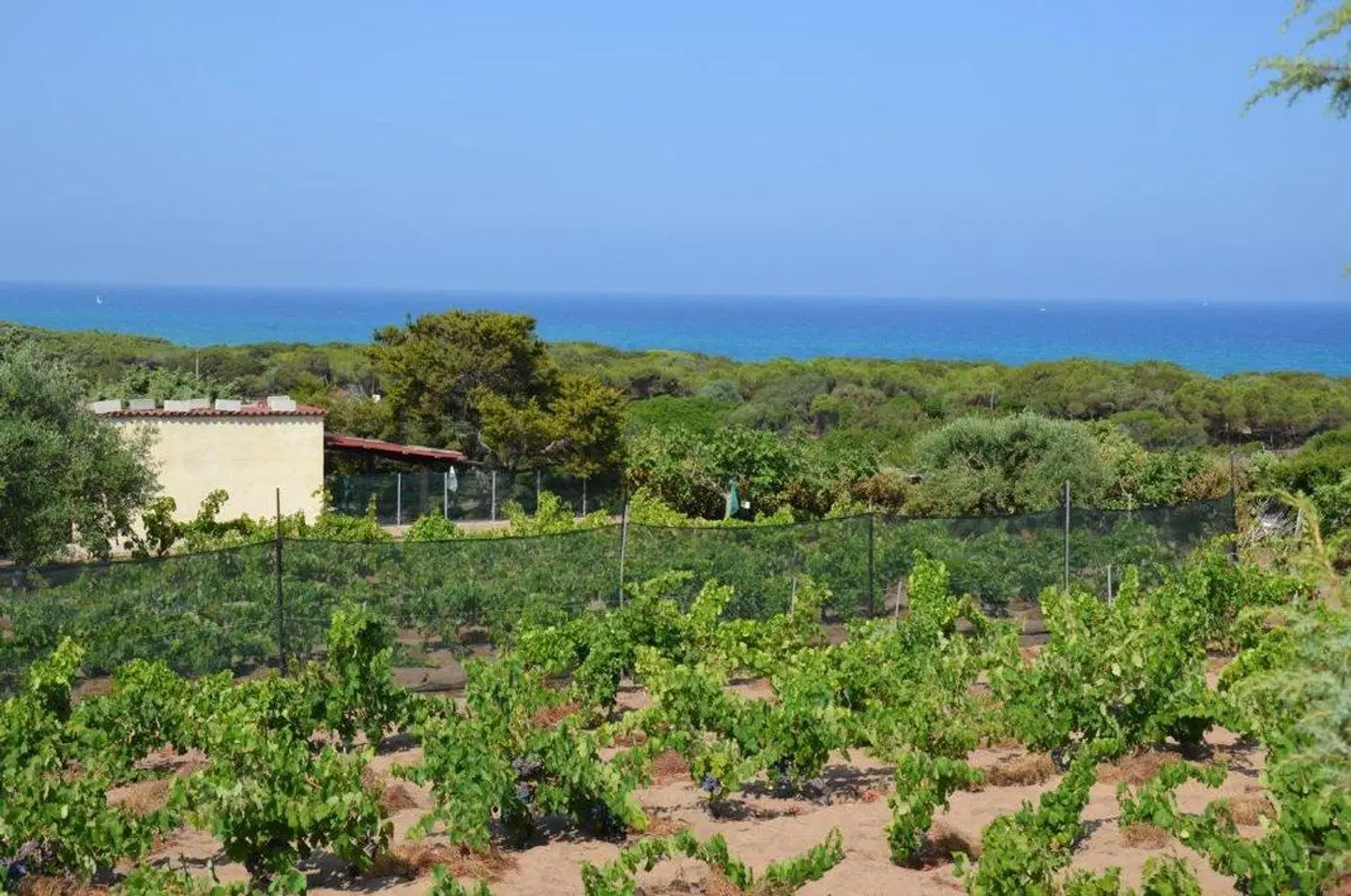 Residence Costa Del Turchese LANDSCAPE