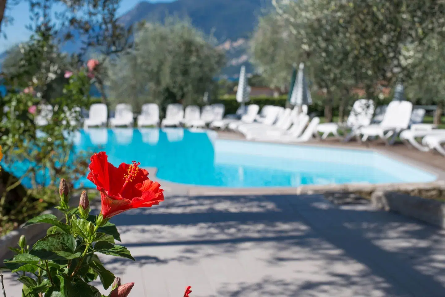 Hotel Baia Verde OUTDOOR_POOL