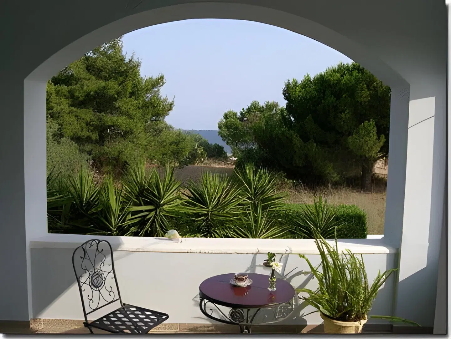 Diamond Palace TERRACE