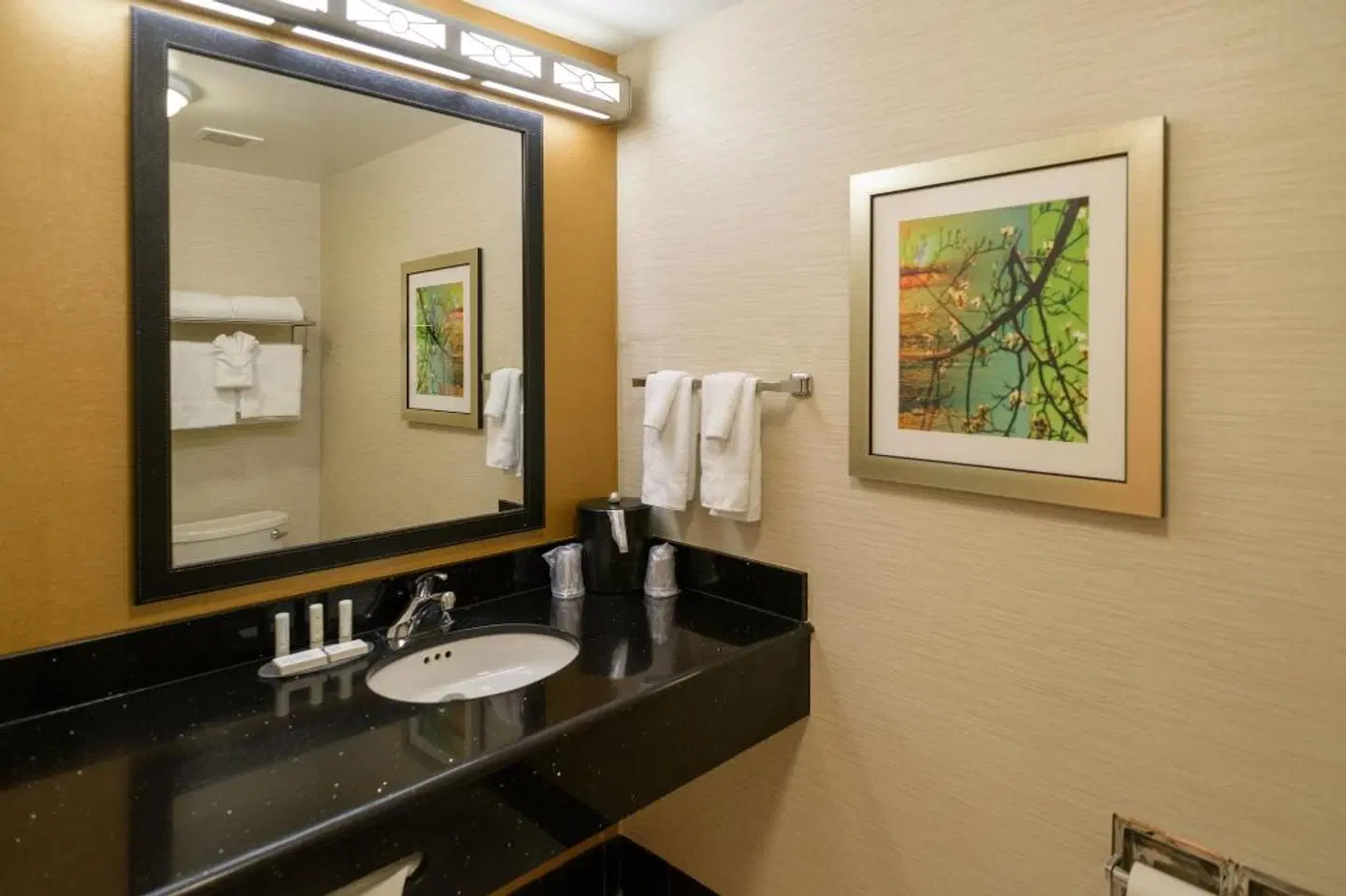 Fairfield Inn & Suites by Marriott Kennett Square Brandywine Valley BATHROOM