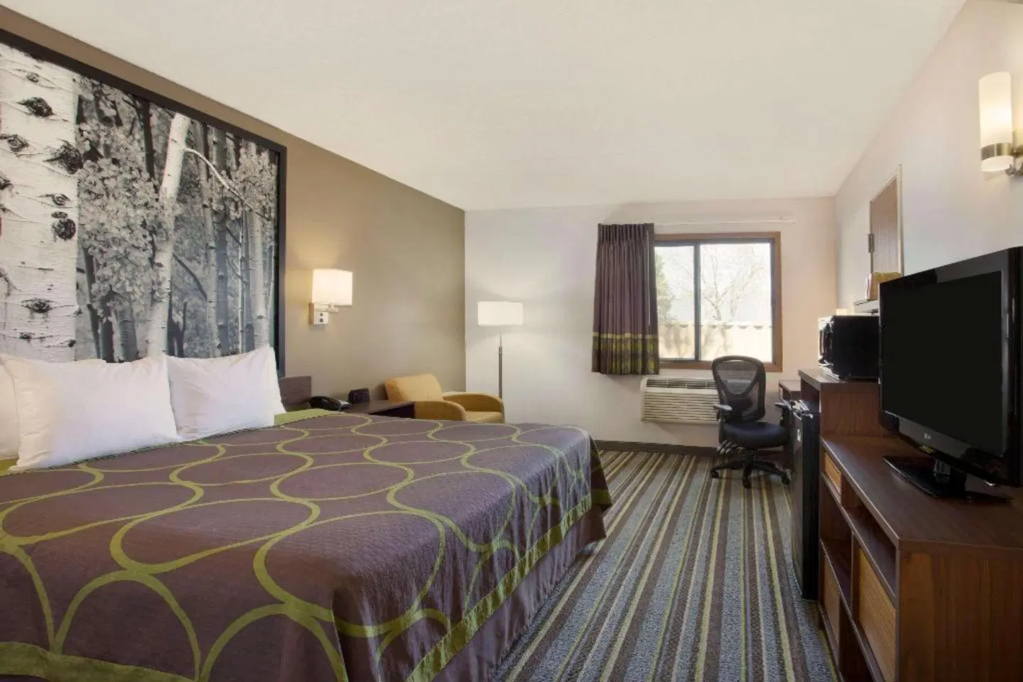 Super 8 by Wyndham Westminster Denver North ROOM_EXAMPLE
