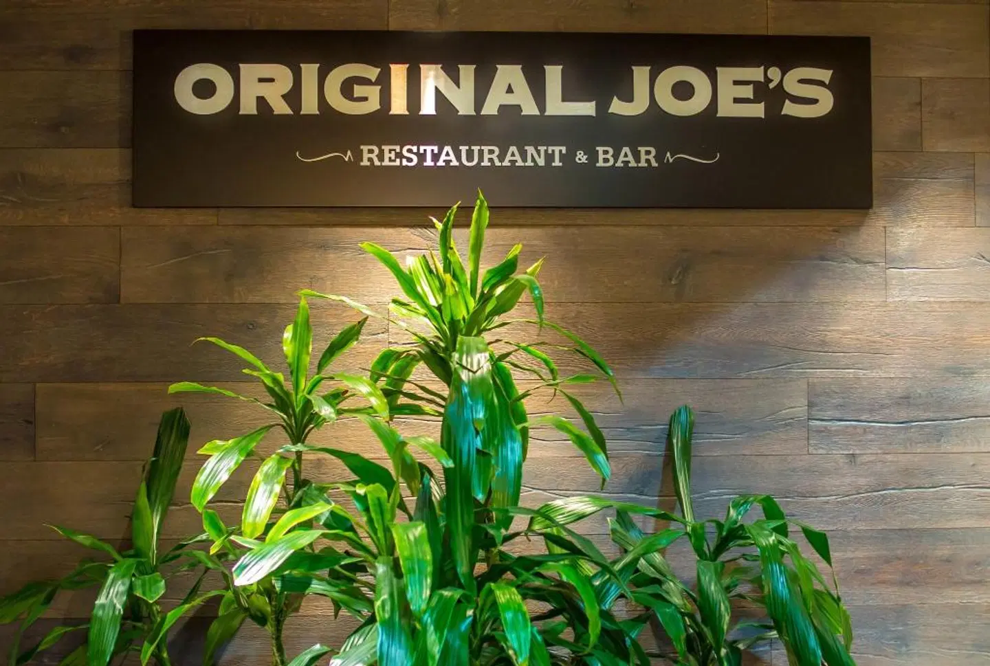 Rosedale on Robson Suite Hotel Garten