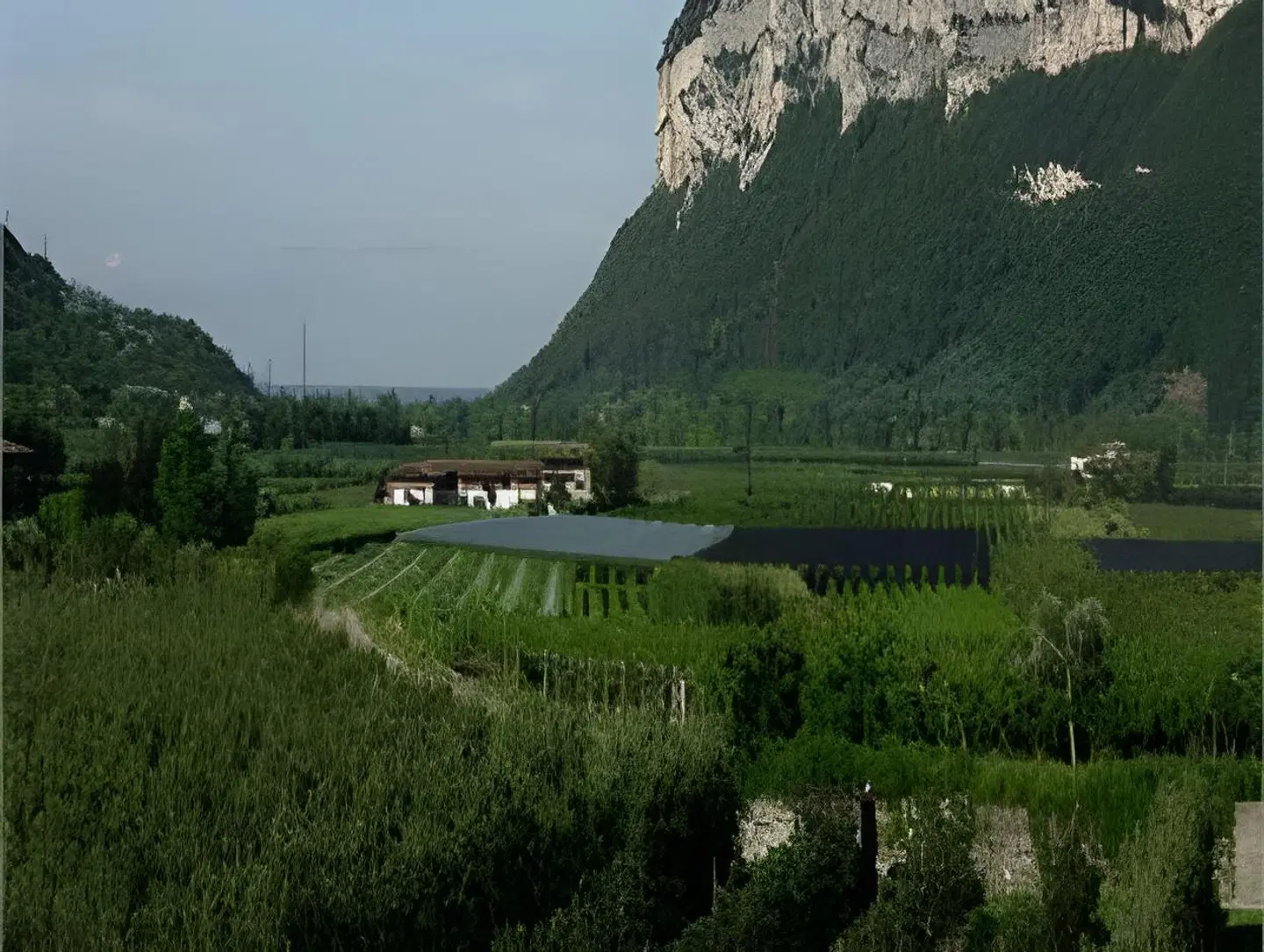 Park Hotel Il Vigneto LANDSCAPE