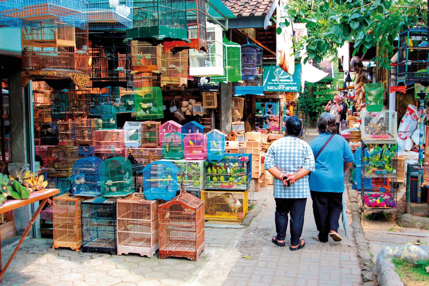 Java und Bali Rundreise Terrasse