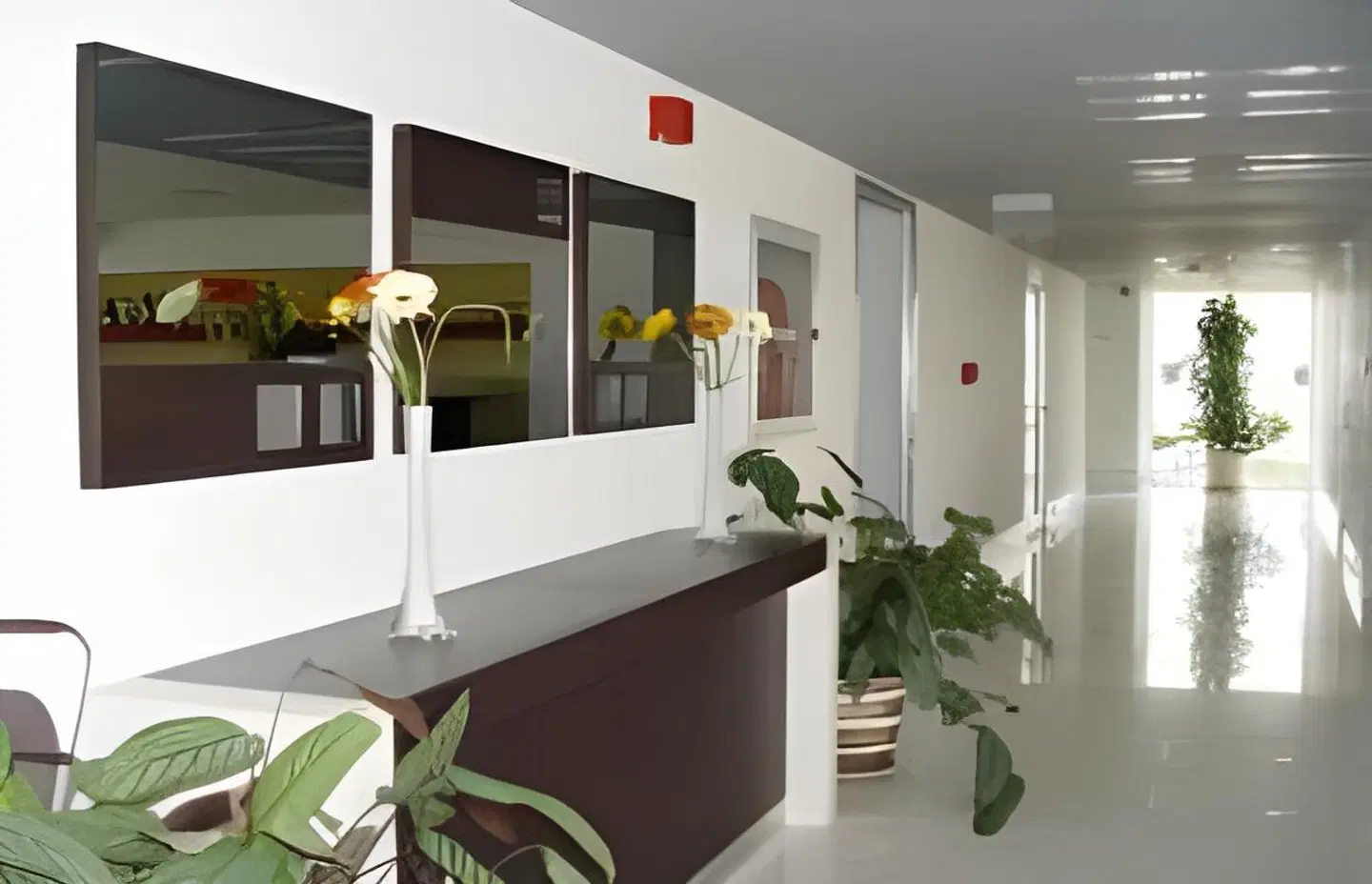 Blue Garden Hotel ROOM_EXAMPLE