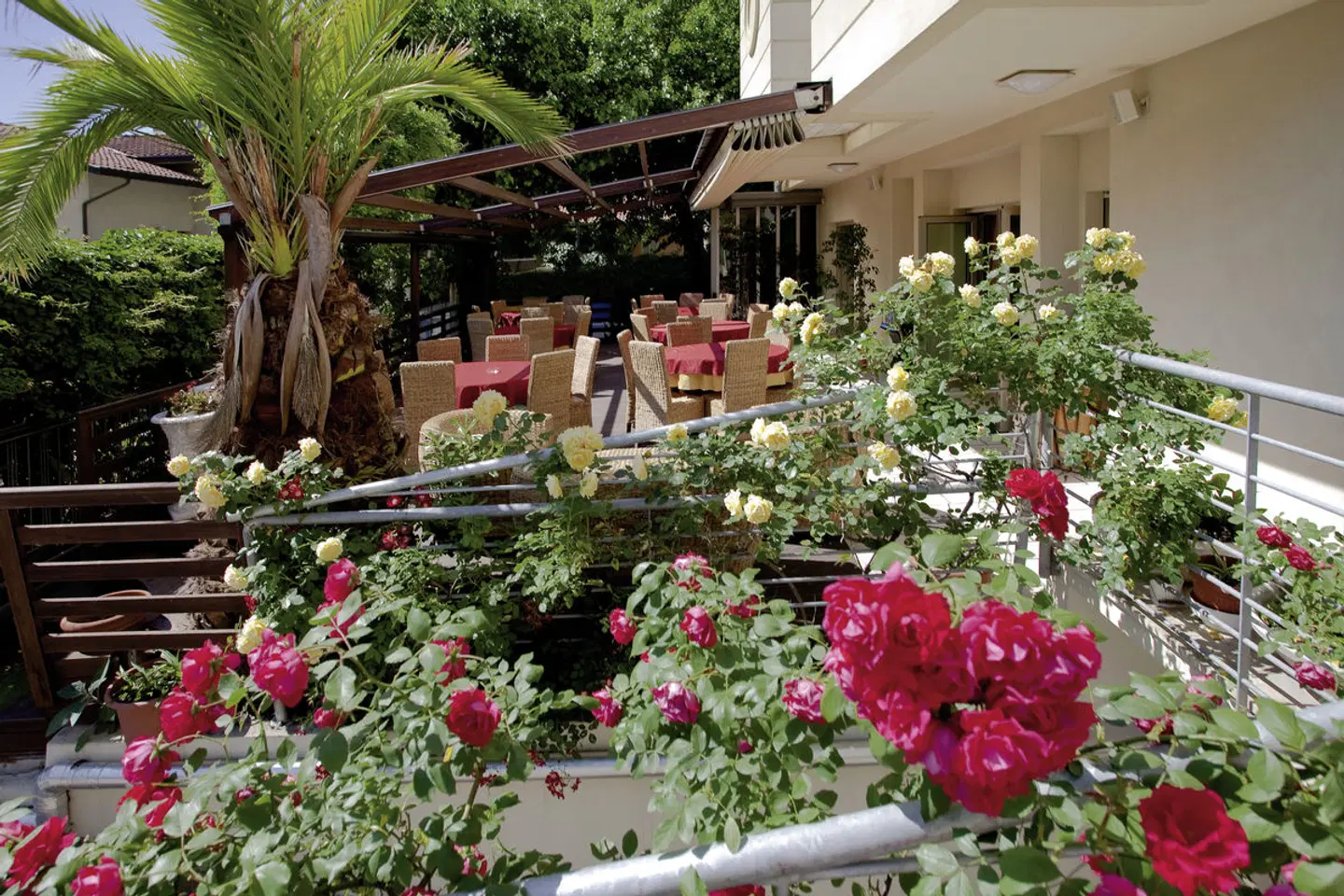 Hotel Rondinella Garten