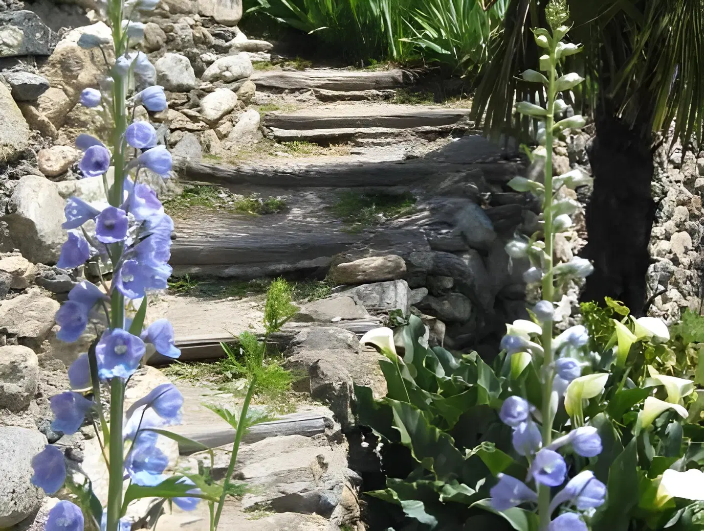 Logis Hotel Restaurant Le Bellevue GARDEN