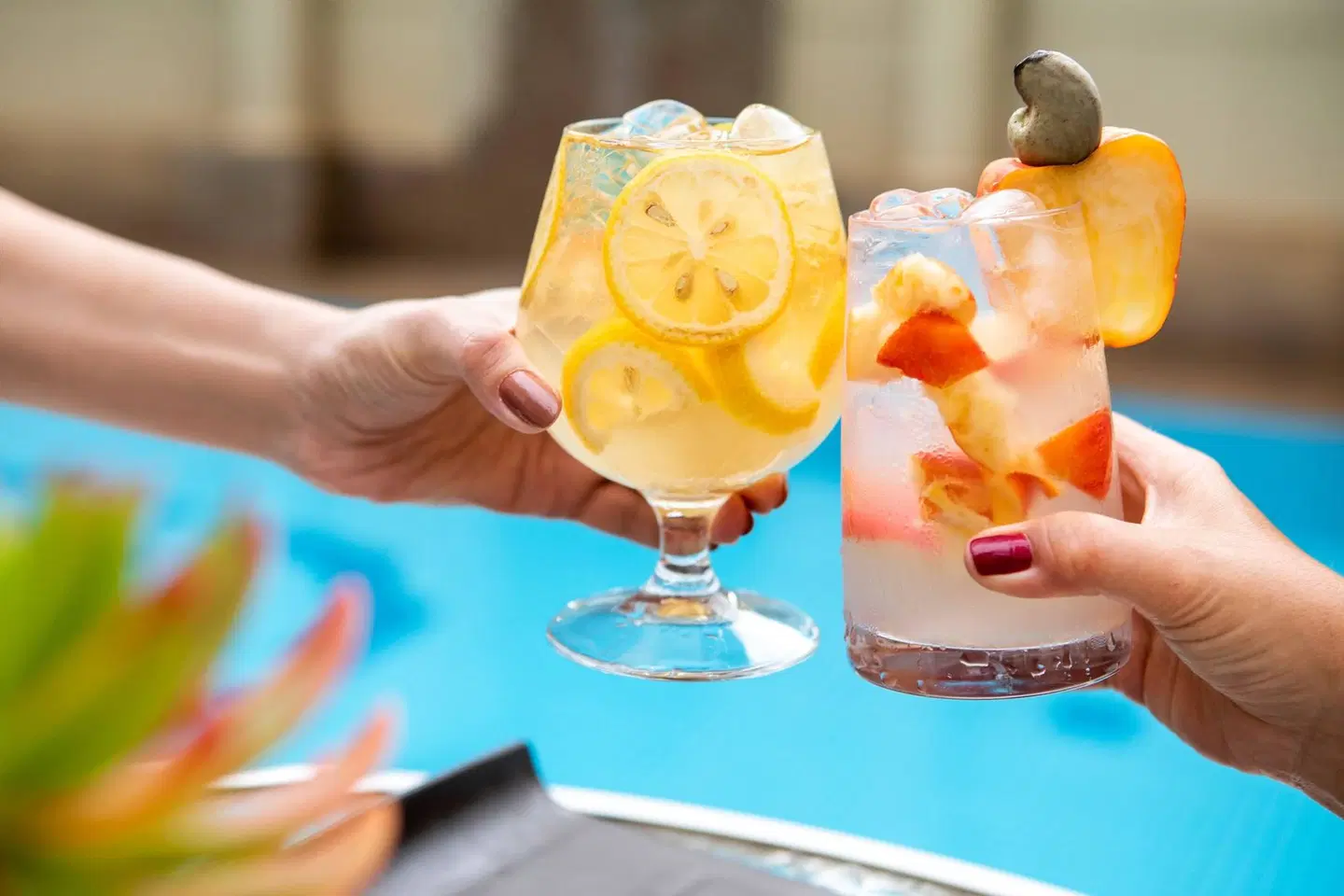 Sol Guadalupe PEOPLE