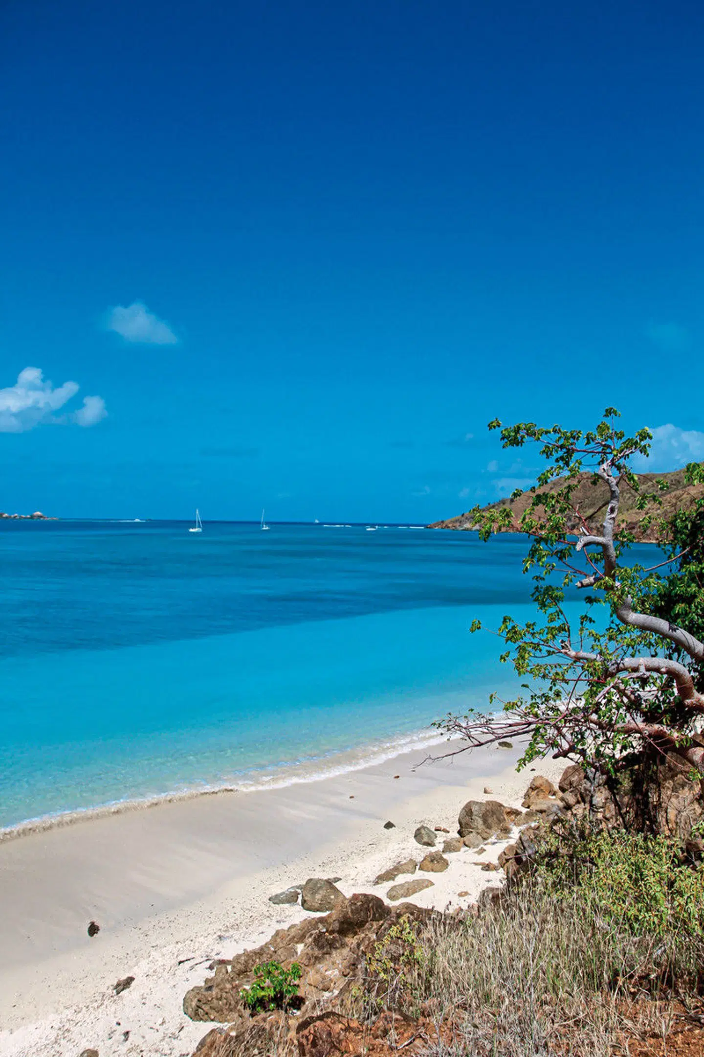 Von Seebären und Piraten Strand