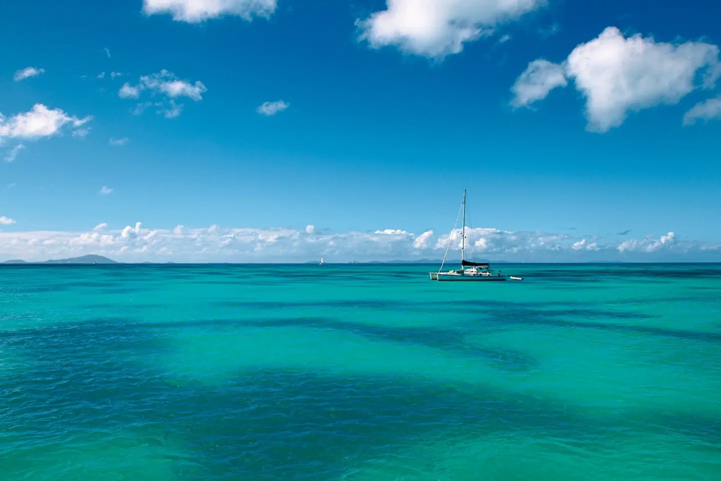 Von Seebären und Piraten LANDSCAPE