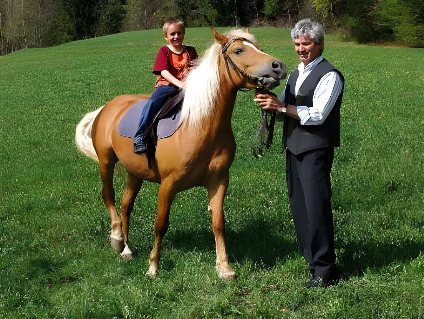 Hotel Avelina ANIMAL