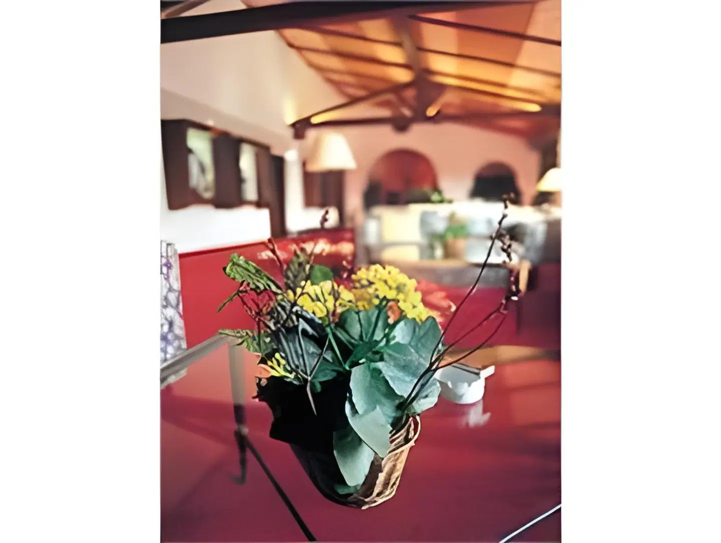 Alpenhof Murnau MODEL_IMPRESSION