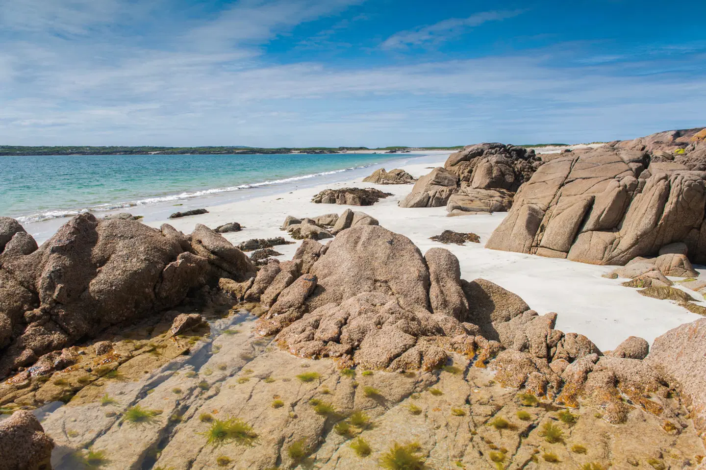 Irland kulinarisch LANDSCAPE