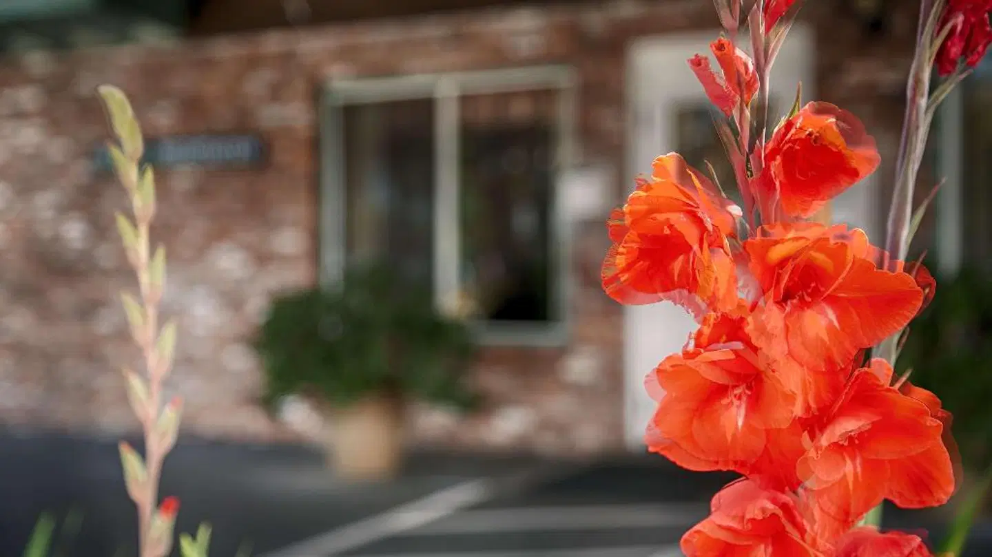 Best Western Vista Manor Lodge SPORTS_AND_LEISURE