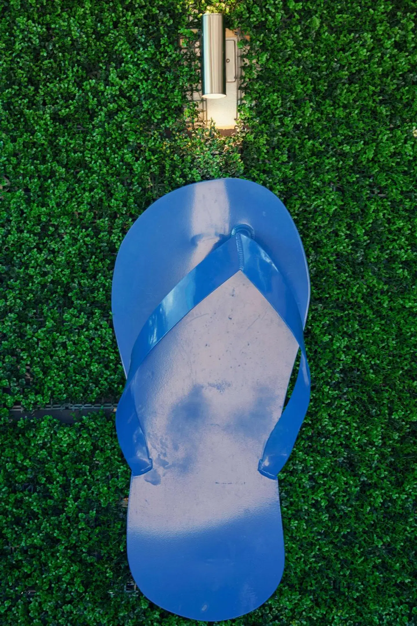 Best Western Cocoa Beach Hotel & Suites Tiere