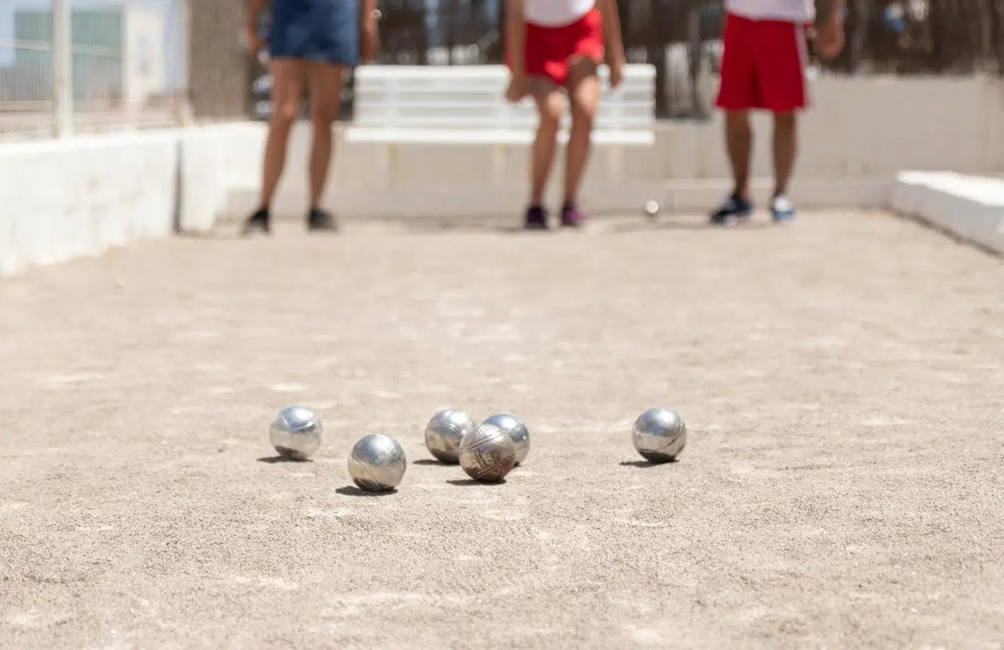 Palia Sa Coma Playa ANIMAL