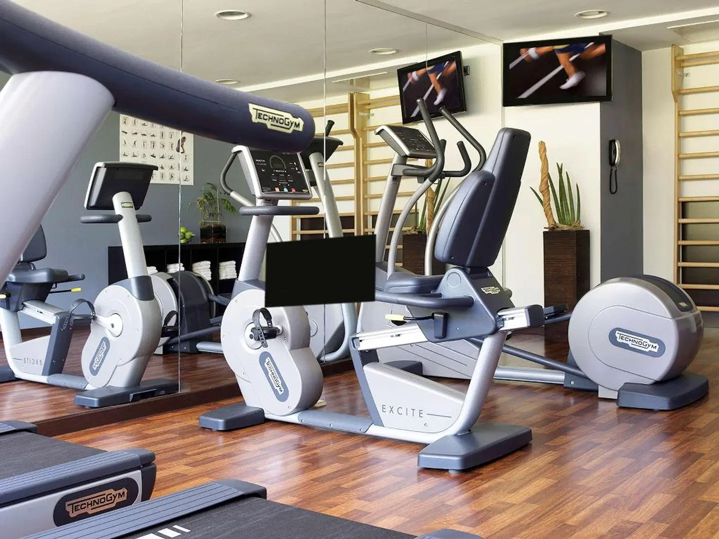 Pullman Madrid Airport & Feria Hotel SPORTS_AND_LEISURE