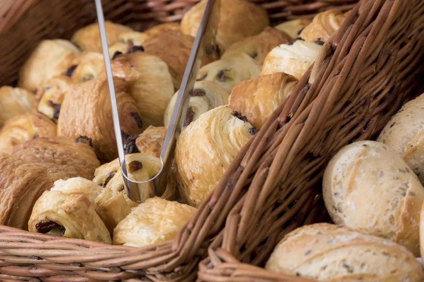 Libertel Canal St Martin Tiere