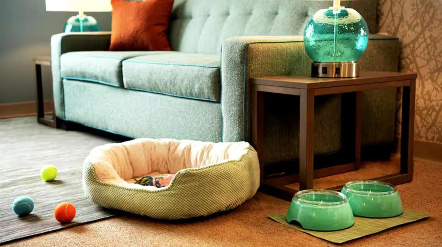 Home2 Suites By Hilton Virginia Beach Princess Anne ROOM_EXAMPLE