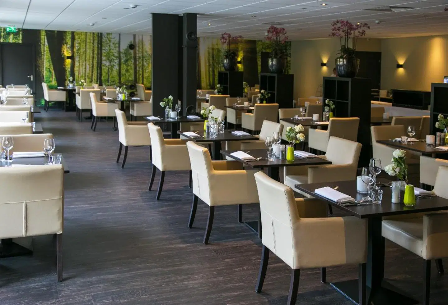 Fletcher Hotel - Restaurant De Eese - Giethoorn RESTAURANT