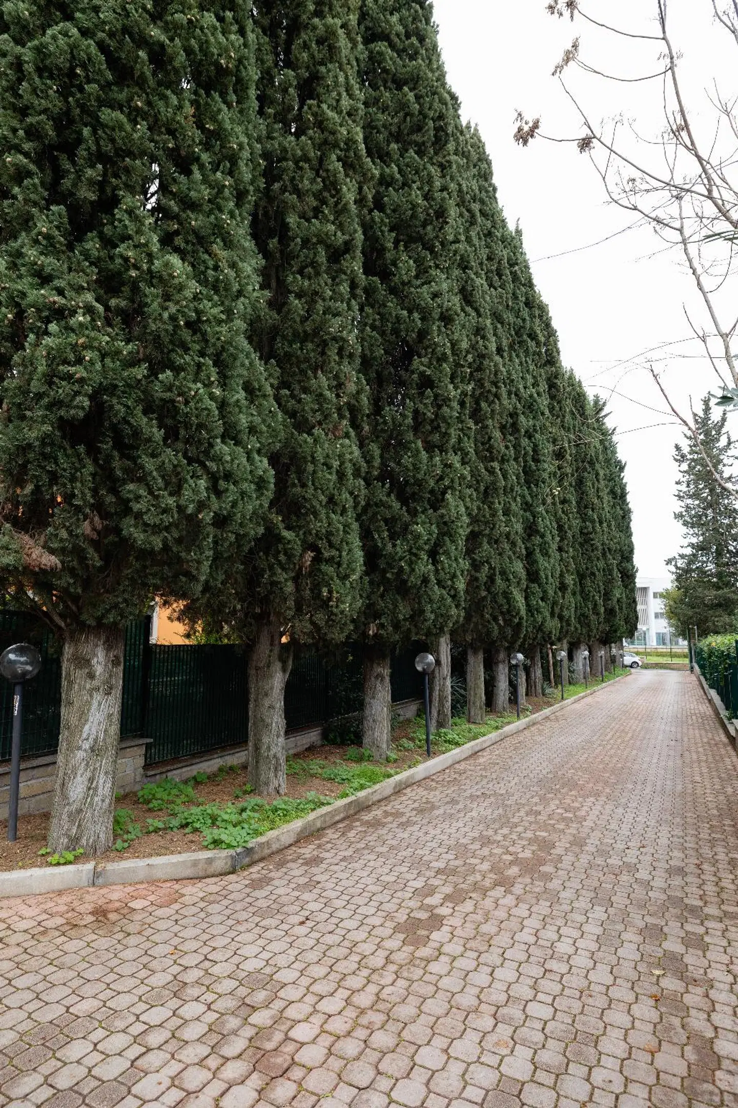 Scheppers Hotel Garten