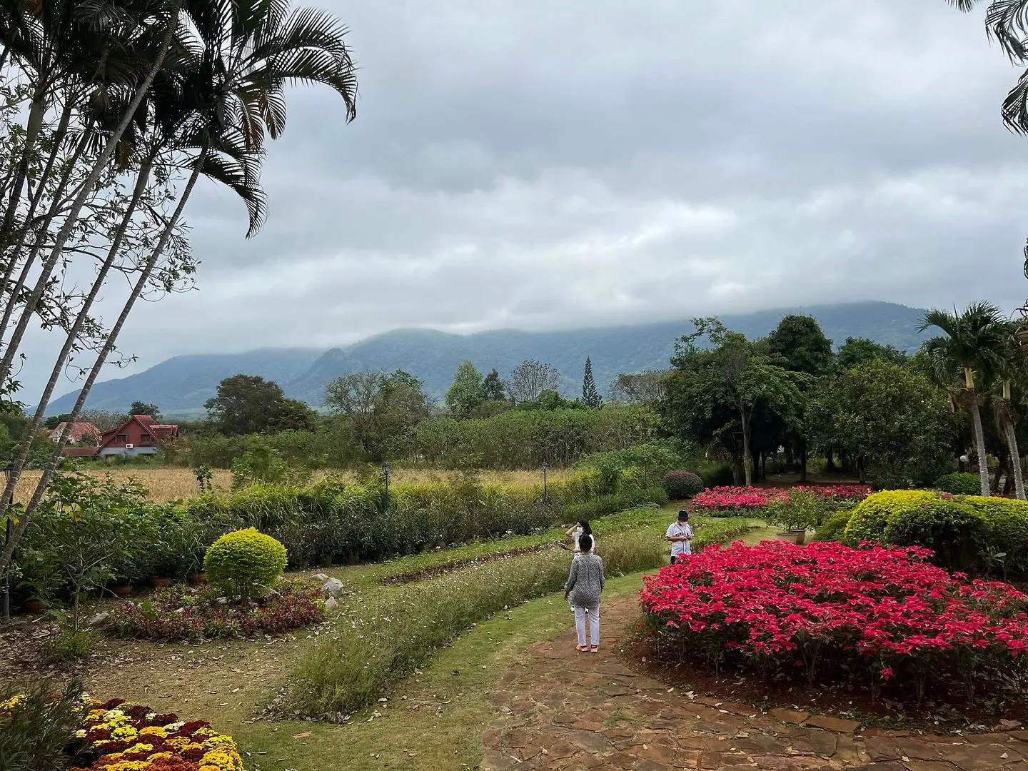 Chalet Hill Resort Khao Yai GARDEN