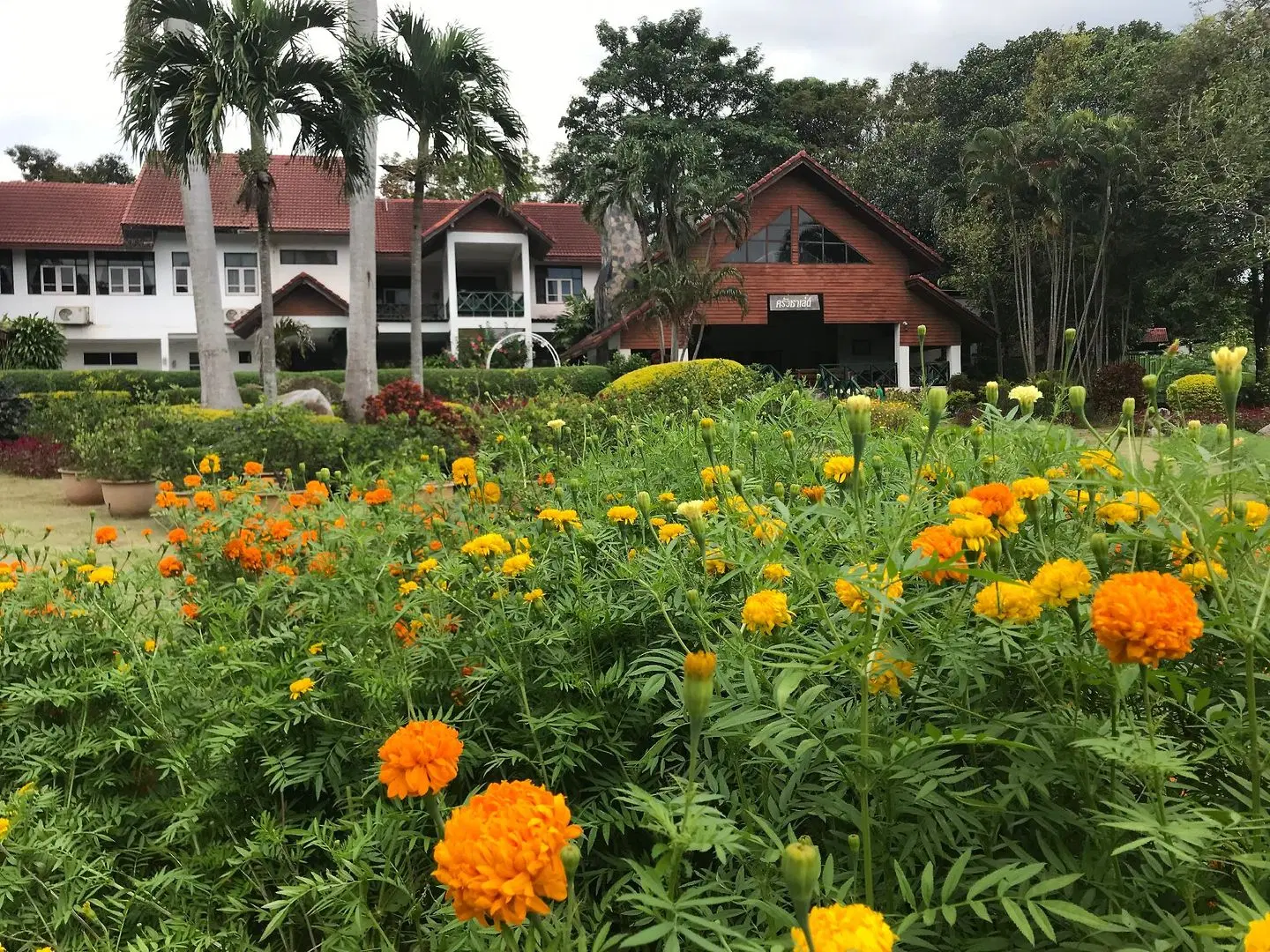 Chalet Hill Resort Khao Yai GARDEN