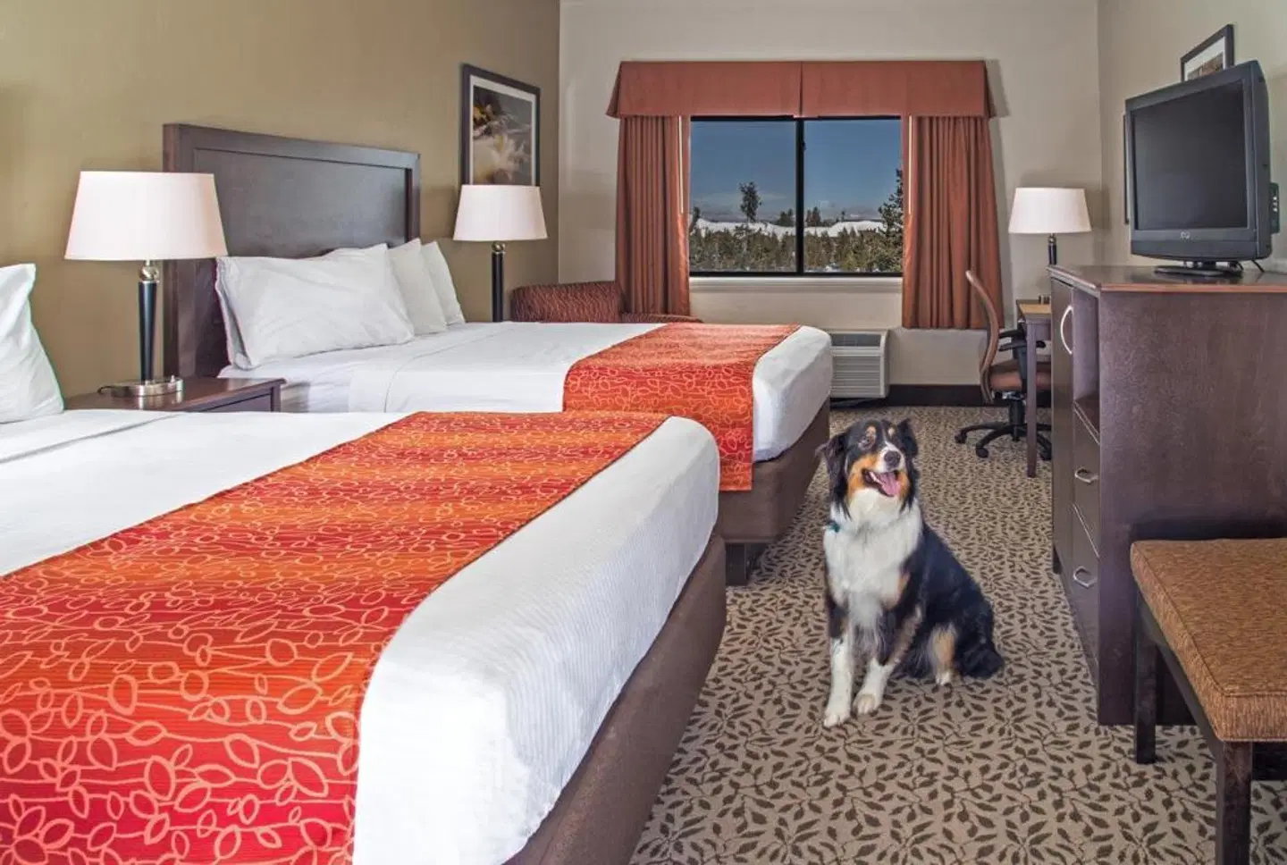 Gray Wolf Inn & Suites ROOM_EXAMPLE