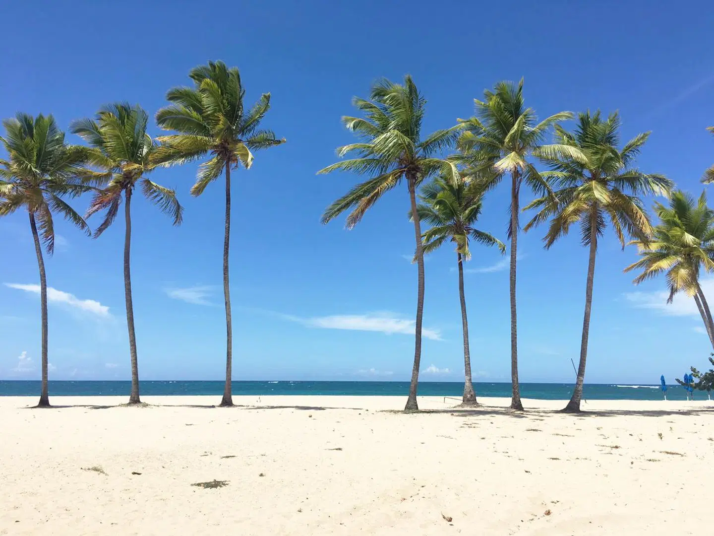 Emotions by Hodelpa Puerto Plata BEACH