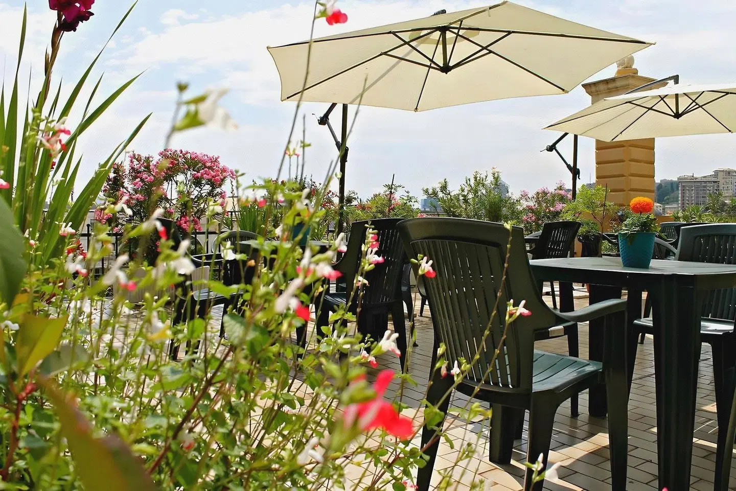 Bellevue SPORTS_AND_LEISURE